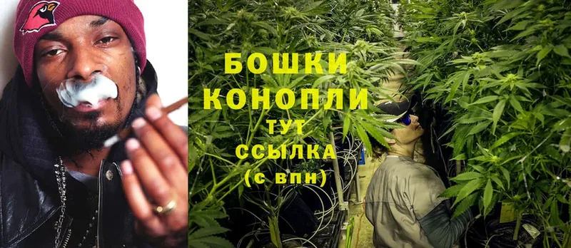 МАРИХУАНА SATIVA & INDICA  цена наркотик  KRAKEN зеркало  Норильск 